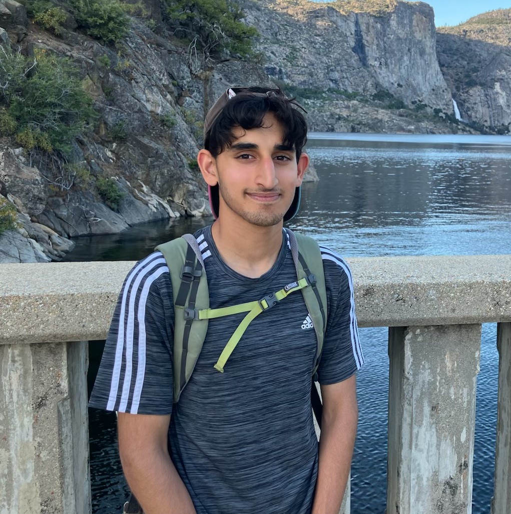 Picture of Vice President